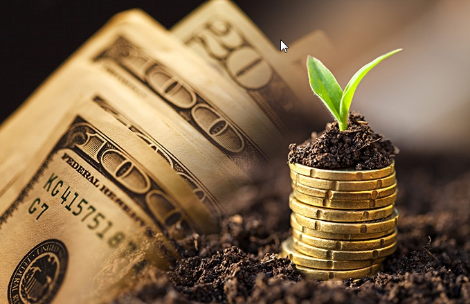 擔保公司轉讓需要的資料有哪些?